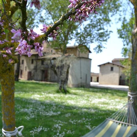 Agriturismo Nestore Bagian luar foto