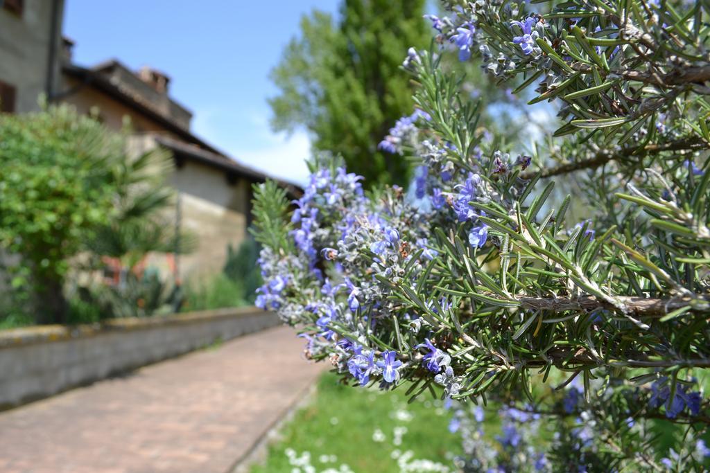 Agriturismo Nestore Bagian luar foto