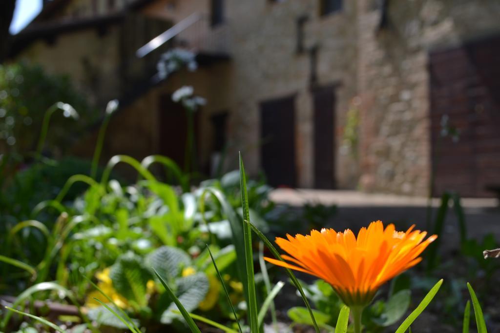 Agriturismo Nestore Bagian luar foto