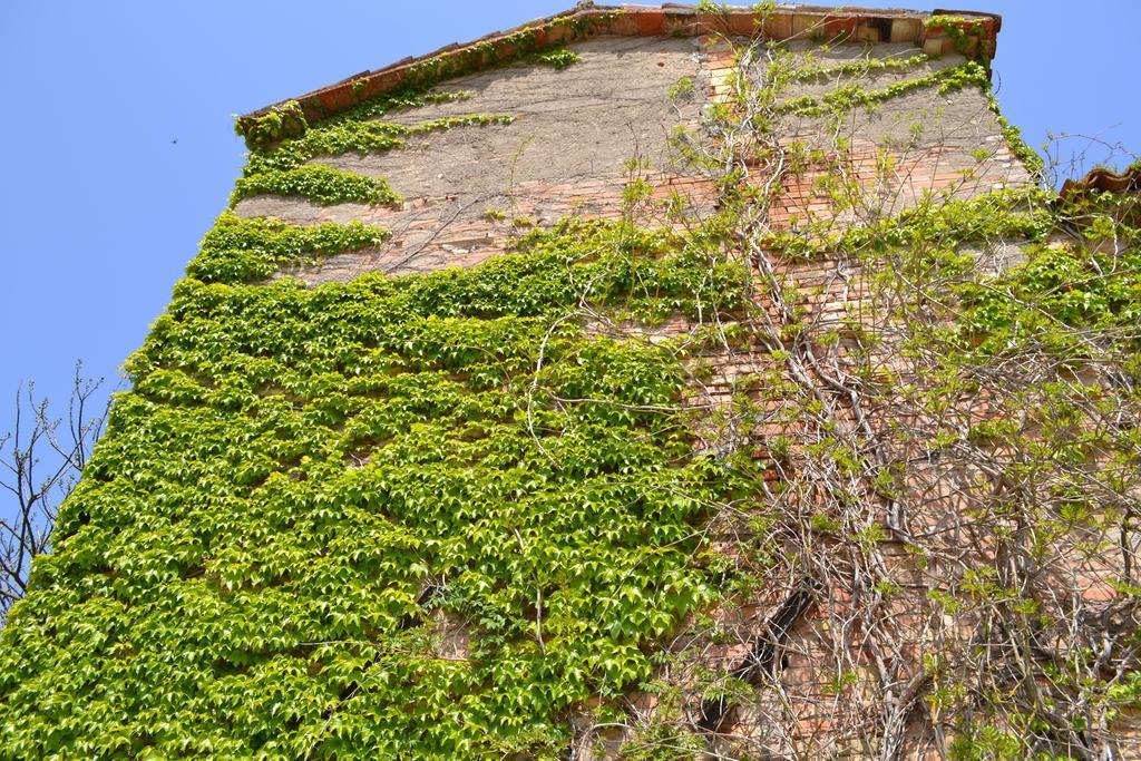 Agriturismo Nestore Bagian luar foto